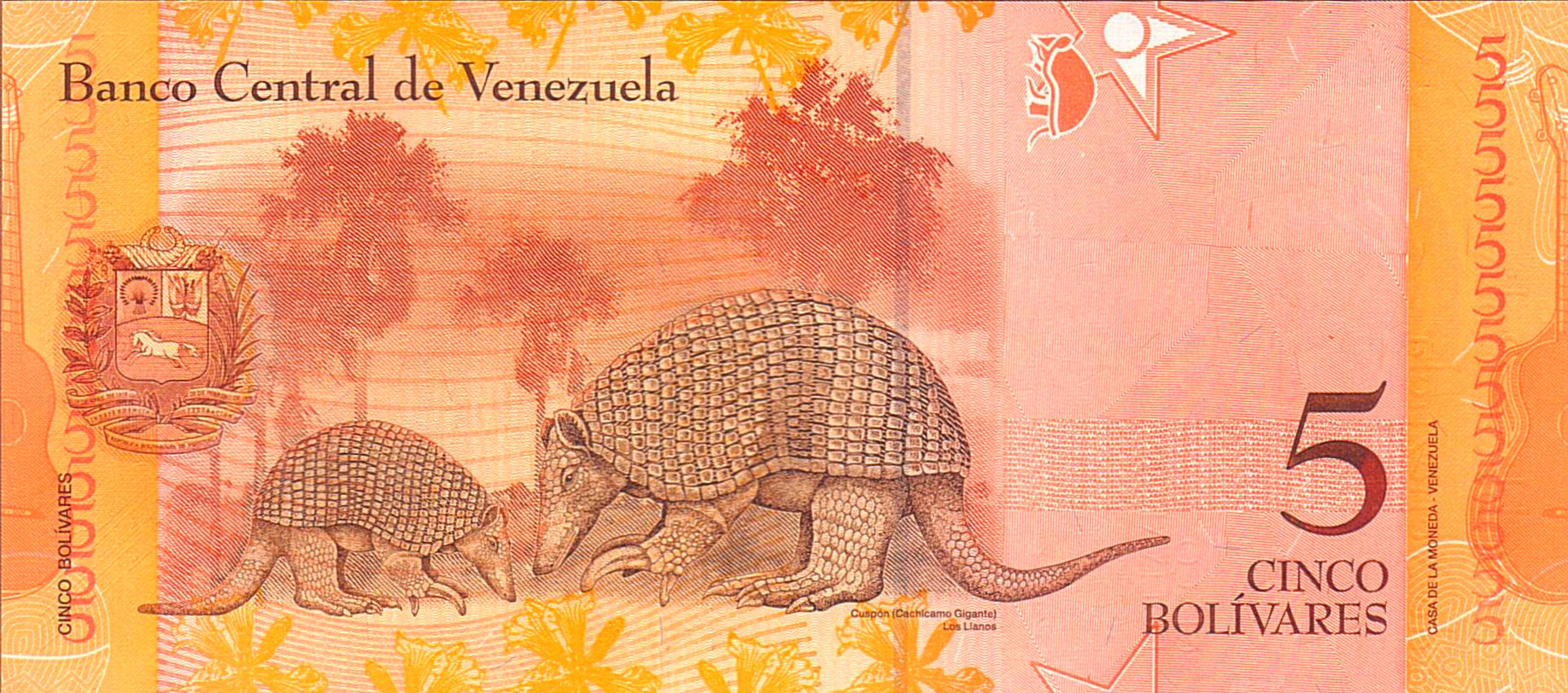 Venezuela 5 2007 UNC P-89/a
